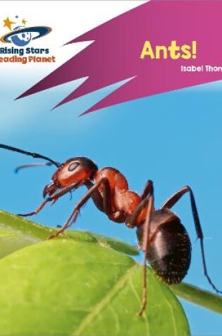 Cover of Reading Planet: Rocket Phonics - Target Practice - Ants! - Pink A