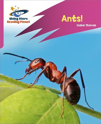 Book cover for Reading Planet: Rocket Phonics - Target Practice - Ants! - Pink A