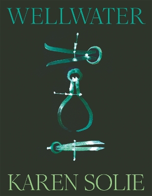 Book cover for Wellwater