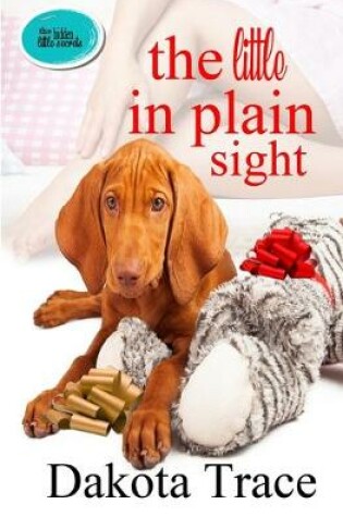 Cover of The Little In Plain Sight
