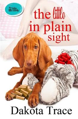 Cover of The Little In Plain Sight