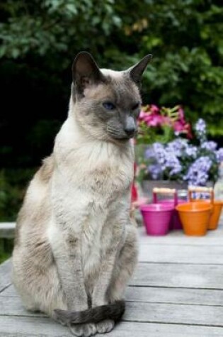 Cover of Blue Point Siamese Cat Journal