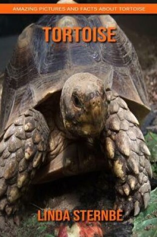 Cover of Tortoise