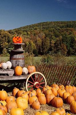 Cover of 2019 Weekly Planner Fall Season Harvesting Pumpkins 134 Pages