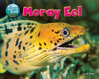 Book cover for Moray Eel