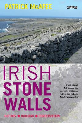 Book cover for Irish Stone Walls