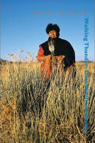 Cover of Walking Thunder