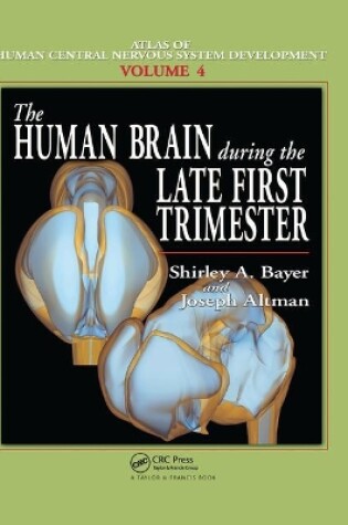 Cover of The Human Brain During the Late First Trimester