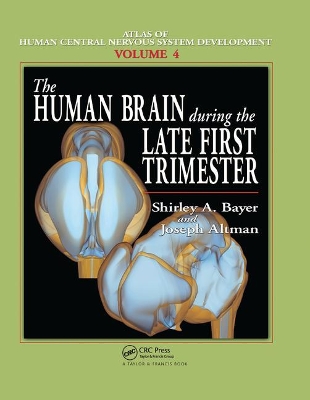 Book cover for The Human Brain During the Late First Trimester
