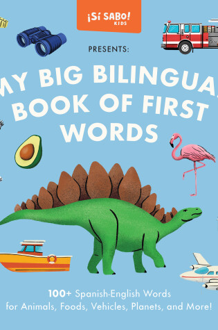 Cover of My Big Bilingual Book of First Words