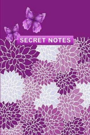 Cover of Secret Notes