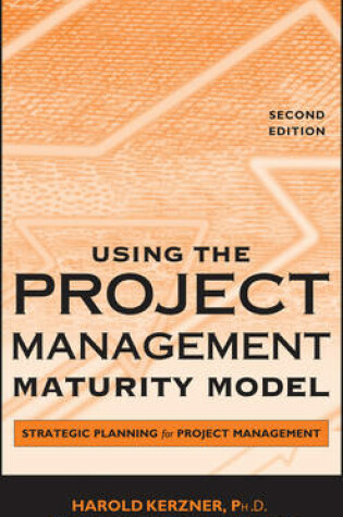 Cover of Using the Project Management Maturity Model
