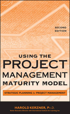 Book cover for Using the Project Management Maturity Model