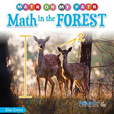 Cover of Math in the Forest