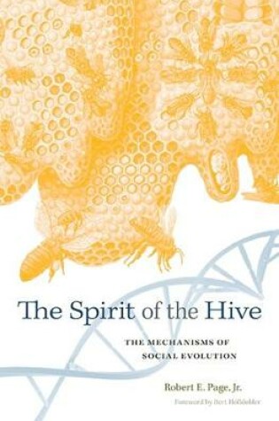 Cover of The Spirit of the Hive