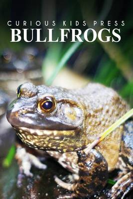 Book cover for Bullfrogs - Curious Kids Press