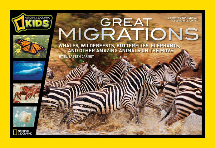 Cover of Great Migrations