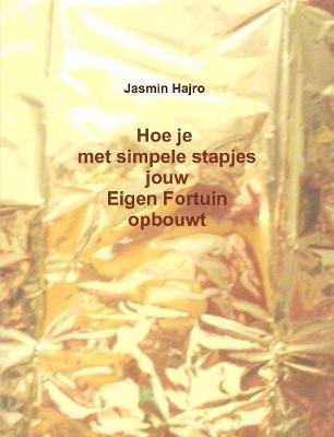 Book cover for Hoe je met simpele stapjes jouw Eigen Fortuin opbouwt