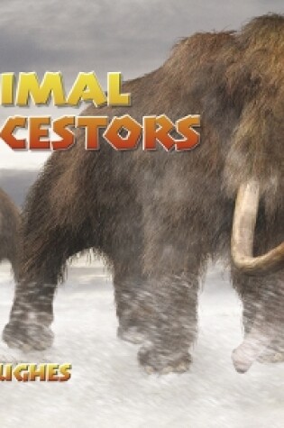 Cover of Animal Ancestors