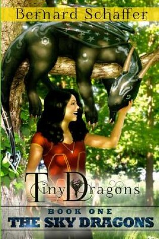 Cover of Tiny Dragons 1