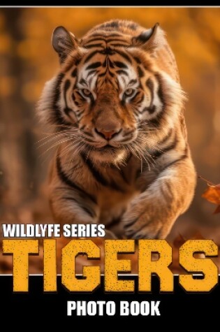 Cover of Tigers - The Photo Book