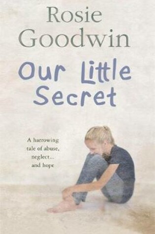 Cover of Our Little Secret