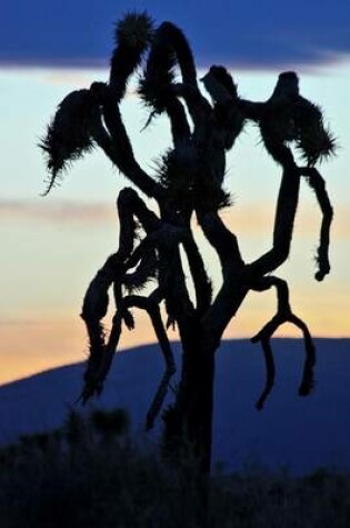 Cover of Silhouette of a Joshua Tree at Dusk Journal