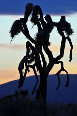 Book cover for Silhouette of a Joshua Tree at Dusk Journal