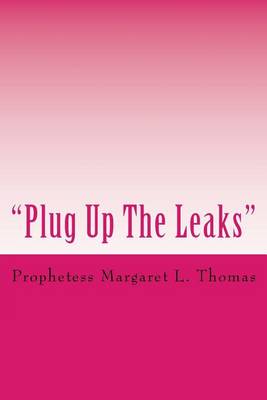 Book cover for Plug Up The Leaks