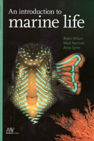 Cover of An Introduction to Marine Life