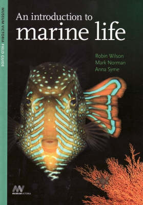Book cover for An Introduction to Marine Life