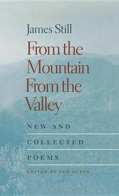 Book cover for From the Mountain, from the Valley