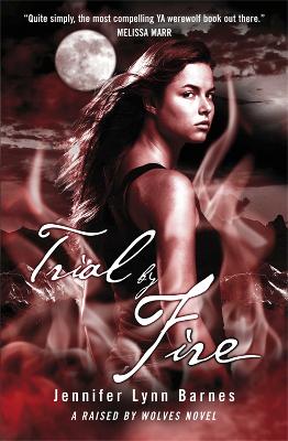 Book cover for Trial by Fire