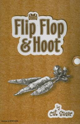 Book cover for Flip Flop & Hoot
