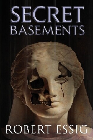 Cover of Secret Basements