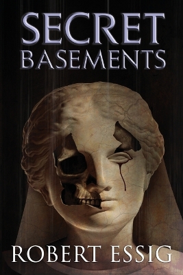 Book cover for Secret Basements