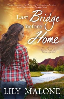 Book cover for Last Bridge Before Home