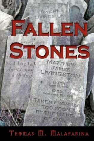 Cover of Fallen Stones