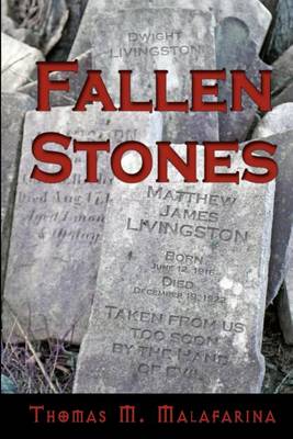 Book cover for Fallen Stones