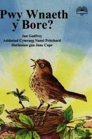 Cover of Pwy Wnaeth y Bore?