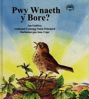 Book cover for Pwy Wnaeth y Bore?