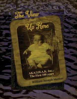 Book cover for The View from Up Here