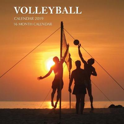 Book cover for Volleyball Calendar 2019