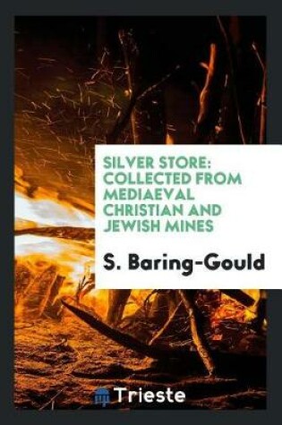 Cover of Silver Store