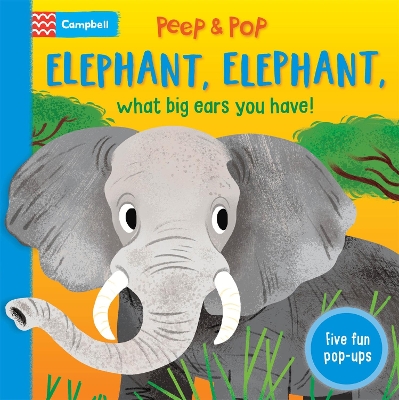 Book cover for Elephant, Elephant, What Big Ears You Have!