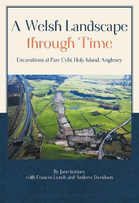 Cover of A Welsh Landscape through Time