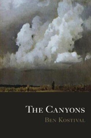 Cover of The Canyons