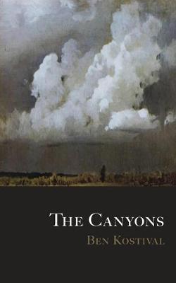 Book cover for The Canyons