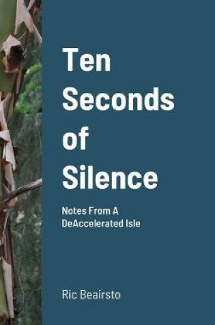 Cover of Ten Seconds of Silence