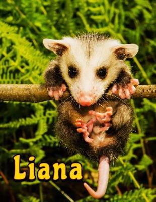 Book cover for Liana